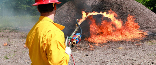 Over 180 students attend 2018 Wildfire Academy