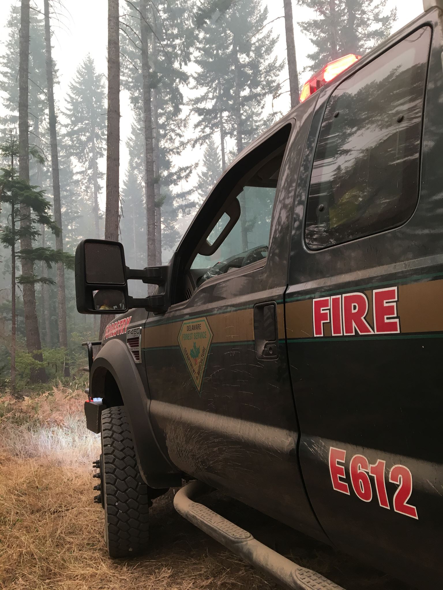A state of Delaware fire engine in front of smokey pines.