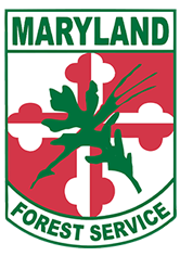 Maryland Forest Service shield - Quartered argent and gules, a pine cluster and oak leaf vert, crossed, on a bottany cross reversed. In chief, argent, MARYLAND vert.