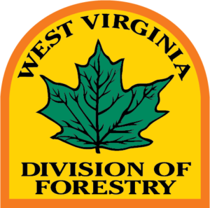 Logo of the West Viriginia Division of Forestry - a green maple leaf on a yellow background with the text West Virginia above and Division of Forestry below, bounded with an orange arch squared off at the bottom.