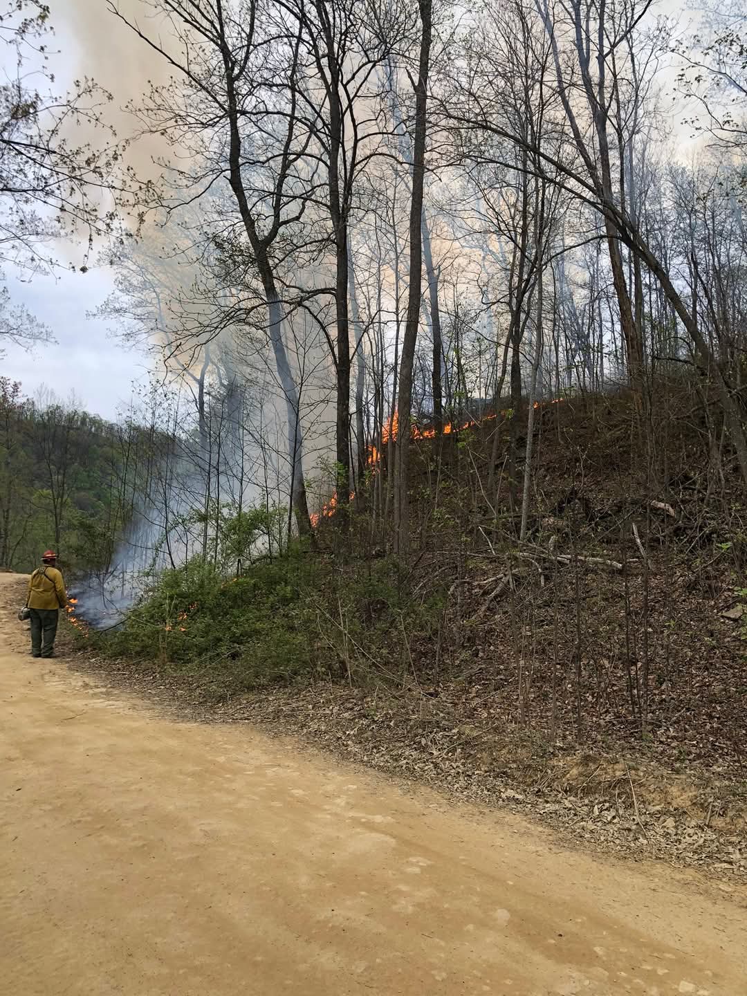 A wildland firefighter on a road looking at a line of fire on a hill.